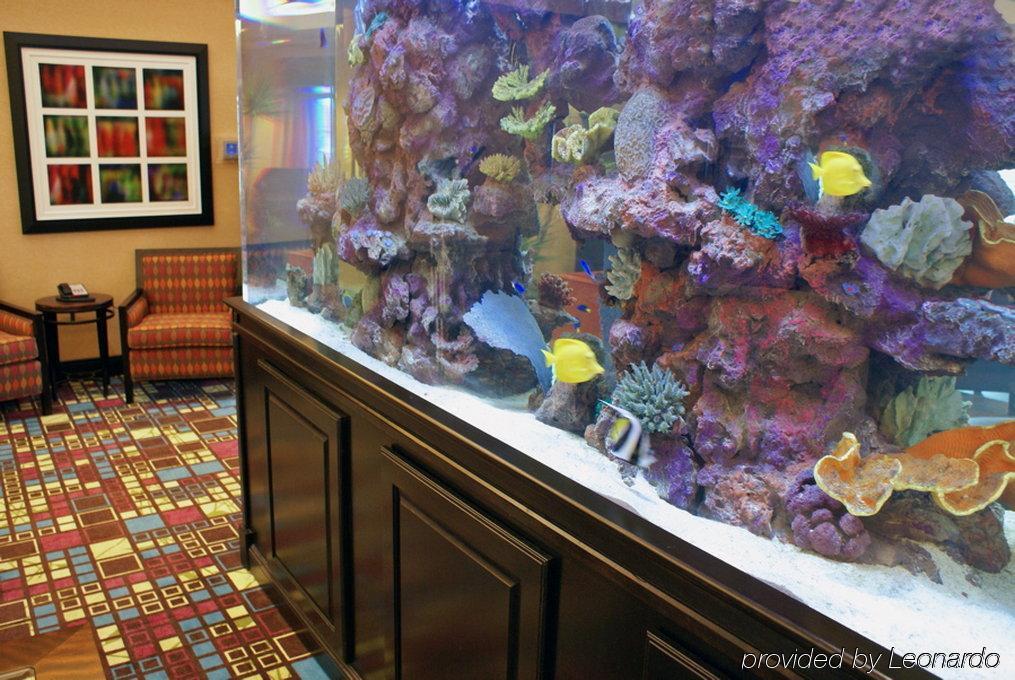 Homewood Suites Fort Myers Airport - Fgcu Интерьер фото